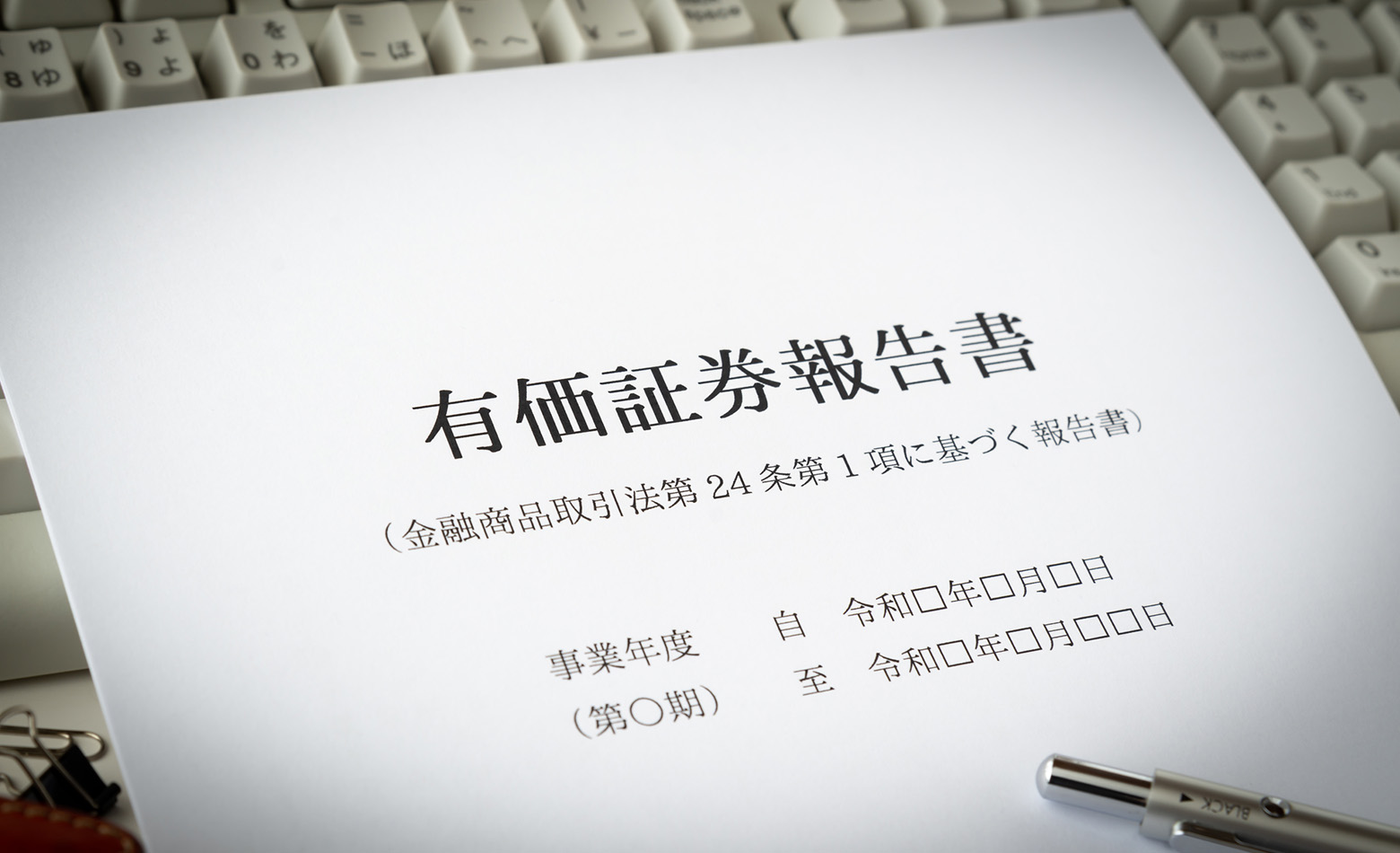 有価証券報告書サムネイル画像
